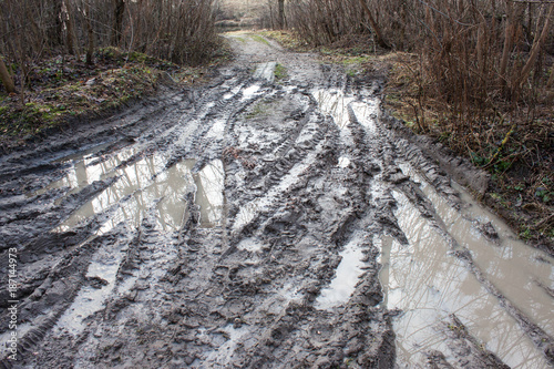 Muddy road in the forest