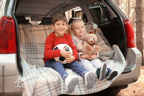 Cute children with toys sitting in car trunk © Africa Studio