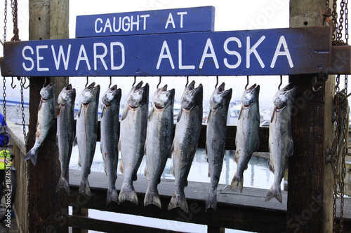 Alaska Fishing is a large part of income for the local people