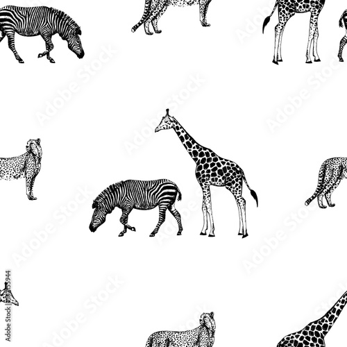 Fototapeta Naklejka Na Ścianę i Meble -  Seamless pattern of hand drawn sketch style giraffe, zebra and cheetah. Vector illustration isolated on white background.