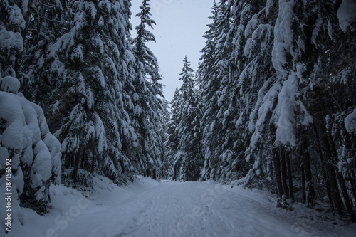 Chilliwack Lake photo