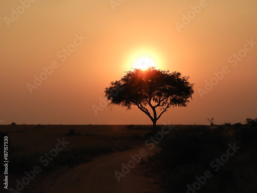 Sonnenuntergänge - Enioy the sun