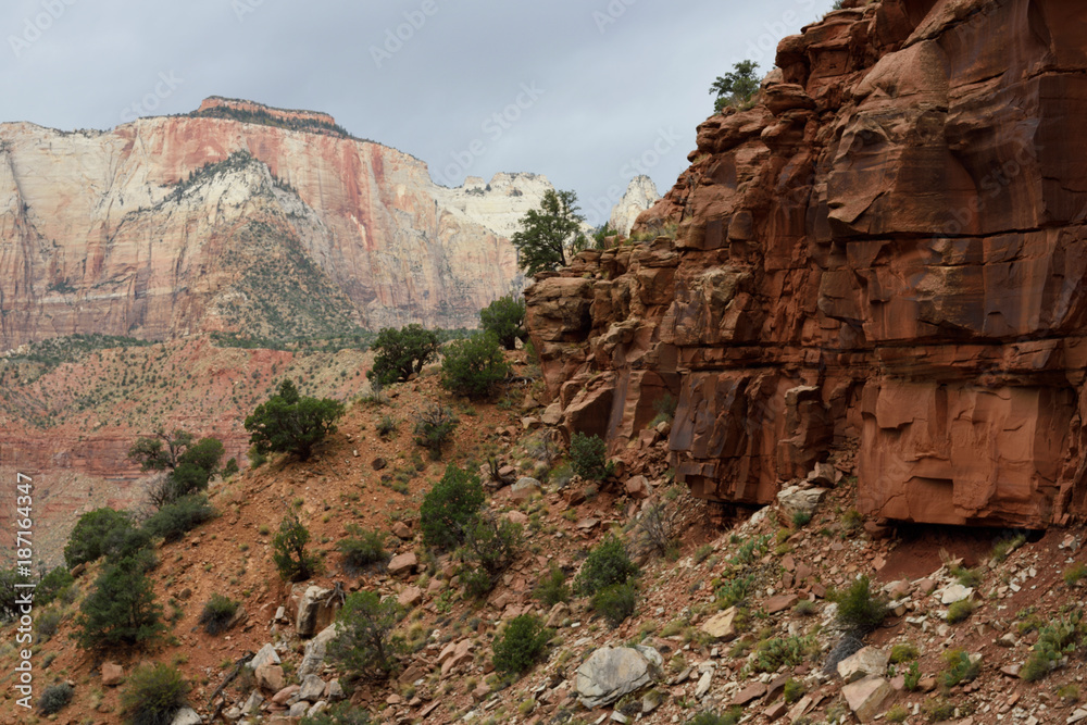 The West Temple from the Watchman Trail, Zion National Park, Utah