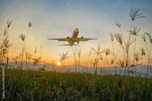 grass sky nature airport plane flower ground landscape green field tree outdoor daylight sunshine spring blue environment,vintage color