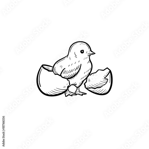 Chick peeking out of egg shell hand drawn vector outline doodle icon