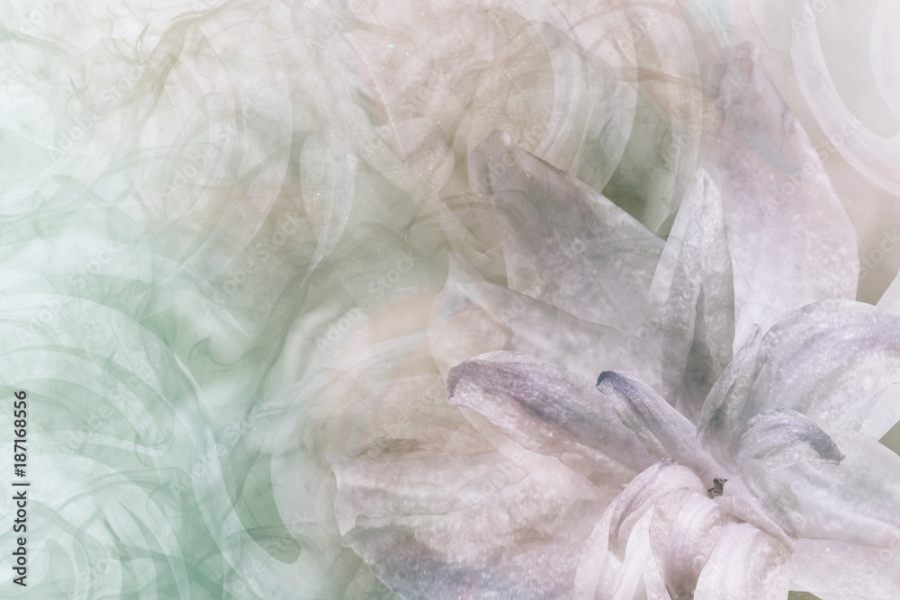 Fototapeta Malowane kwiaty jasnozielono-biało-fioletowo-różowe tło. Płatki kwiatu lilii. Natura.