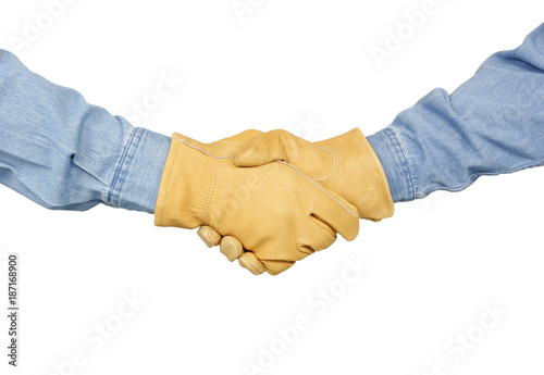 Obraz na plátně Constriction Handshake