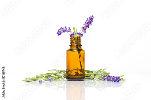 Lavender in a bottle 