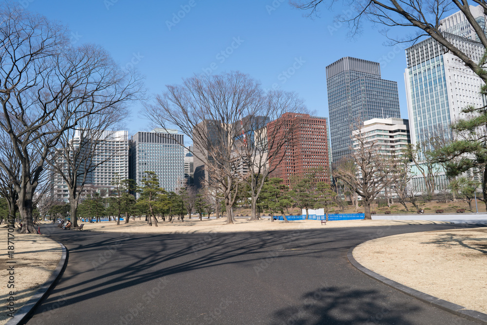 Obraz premium cityscape park and building at Tokyo, Japan