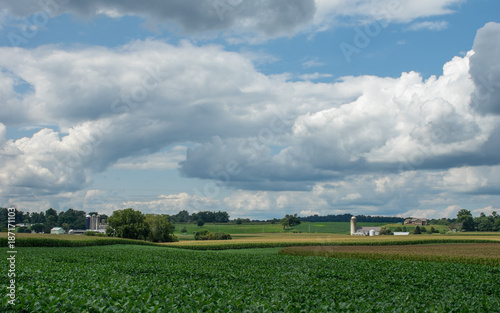 Countryside and Farmland