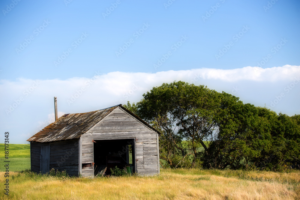 A small square weathered wooden storage shed beside with a field of green crop in the background in a rural summer landscape A small square weathered wooden storage shed beside with a field of green crop in the background in a rural summer landscape