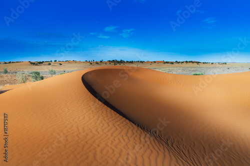Fototapeta Naklejka Na Ścianę i Meble -  Outback Sand Dune