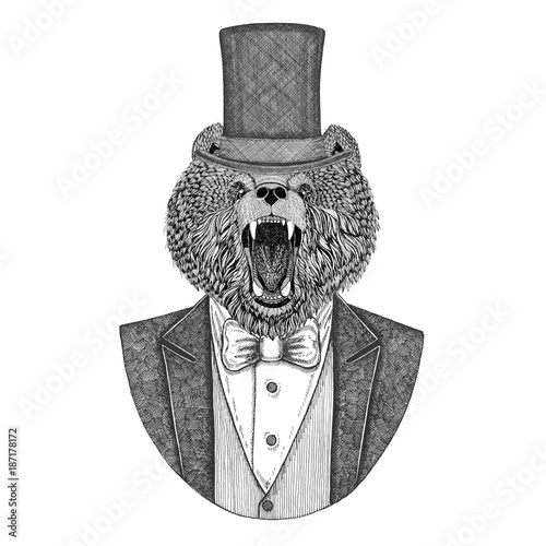 Brown bear, Russian bear. Animal wearing jacket with bow-tie and silk hat, beaver hat, cylinder top hat. Elegant vintage animal. Image for tattoo, t-shirt, emblem, badge, logo, patch