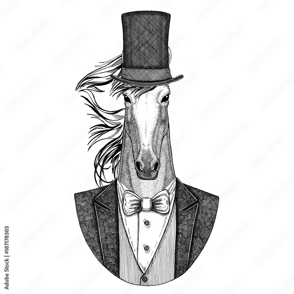 Horse, hoss, knight, steed, courser 