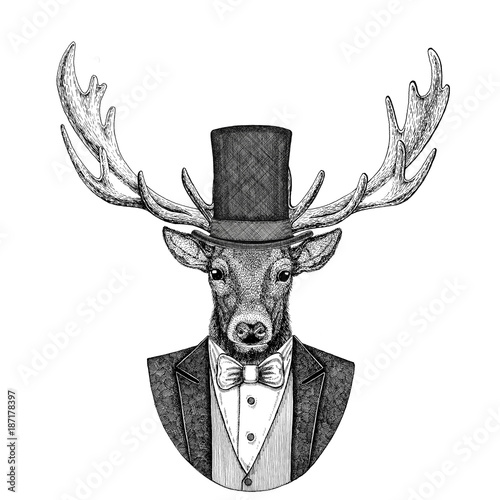 Fotografie Deer Animal wearing jacket with bow-tie and silk hat, beaver hat, cylinder top hat