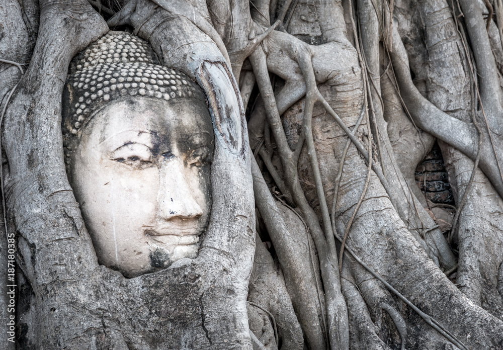 Sandstone Buddha face in tree roots at Wat Mahathat Buddhist Temple in Ayutthaya Thailand