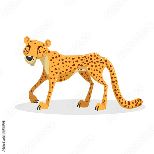 Cartoon trendy design african big cat cheetah. Wildlife and zoo vector illustration.