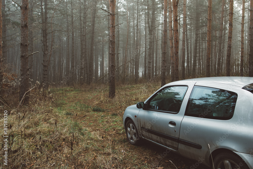 Car in forest. Adventure in nature.