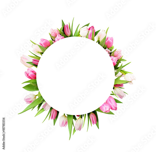 Pink tulip flowers in round frame