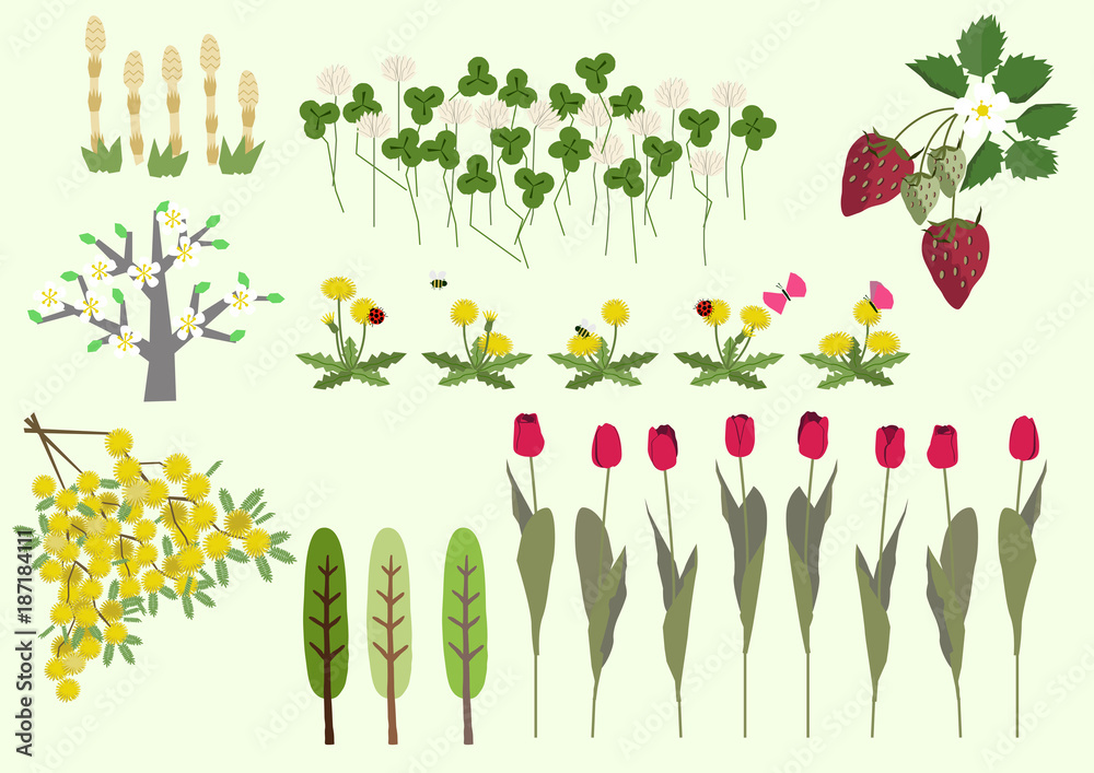 ミモザの花と春の植物 春のイメージ イラスト素材集 Stock Vector Adobe Stock