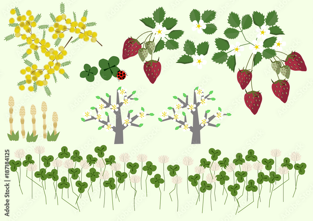 Vecteur Stock ミモザの花と春の植物 春のイメージ イラスト素材集 Adobe Stock