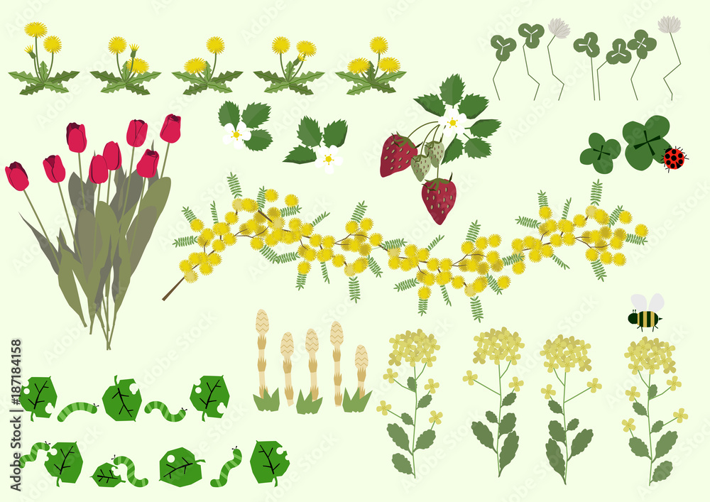 ミモザの花と春の植物 春のイメージ イラスト素材集 Stock ベクター Adobe Stock