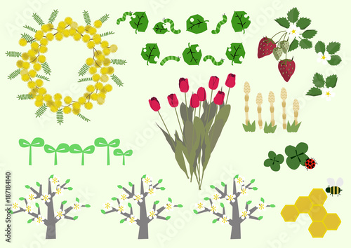 ミモザの花と春の植物 春のイメージ イラスト素材集 Stock Vector Adobe Stock ミモザの花と春の植物 春のイメージ イラスト素材集 Stock Vector Adobe Stock