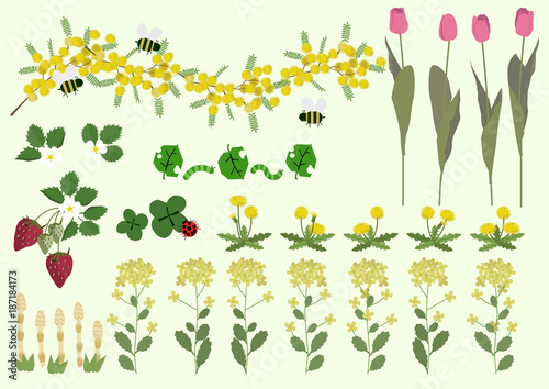 ミモザの花と春の植物 春のイメージ イラスト素材集 Stock Vector Adobe Stock ミモザの花と春の植物 春のイメージ イラスト素材集 Stock Vector Adobe Stock