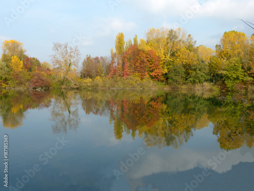 Autumn in the ponds of the Torbiere at the border of Lake Iseo in Brescia