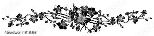 Fototapeta Brzoskwiniowy kwiat wiśni kwiat wzór element projektu
