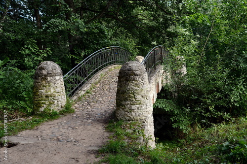 The bridge in the natural-historical park 