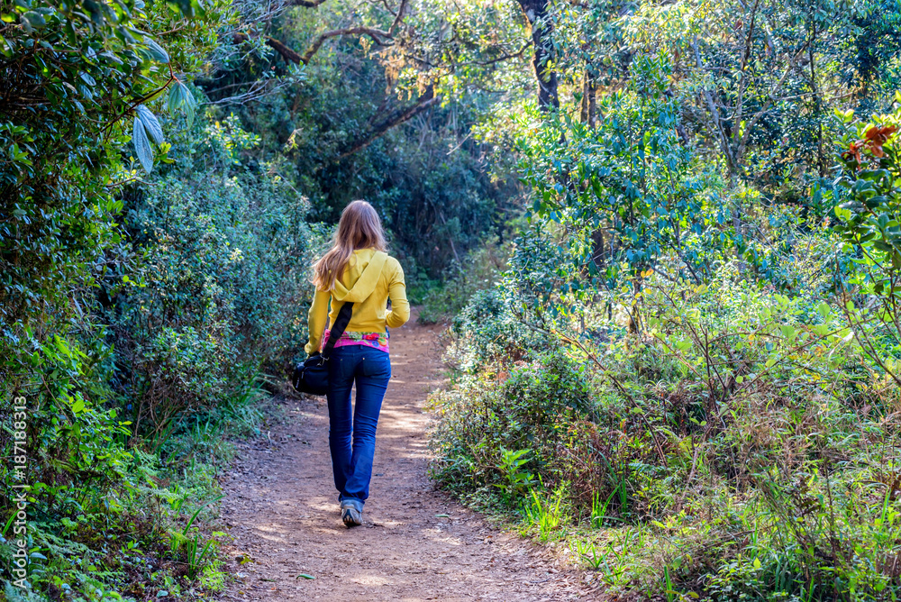 Woman walks in Horton Plains Woman walks in Horton Plains