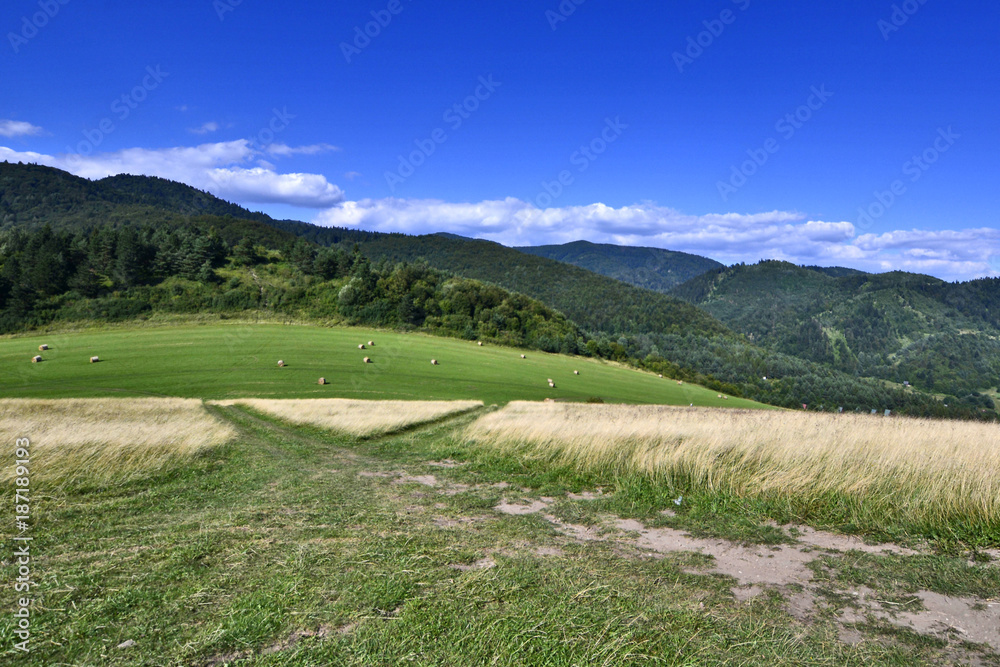 Countryside natural landscape.