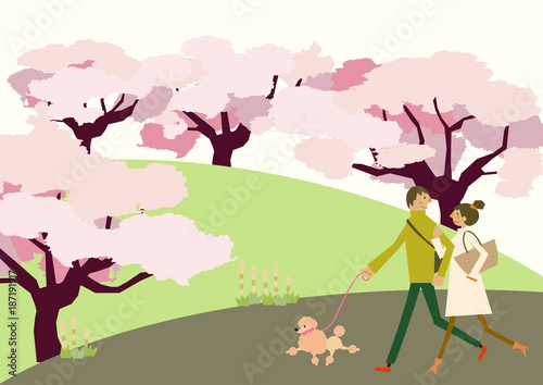 犬散歩をするカップル。満開の桜の花。春の季節。 © TOMOKO ARAKAWA