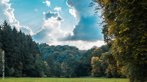 Lichtung