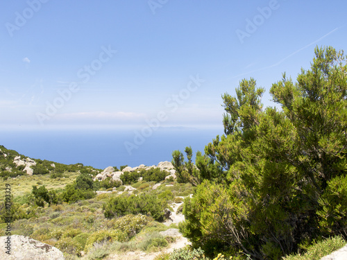 inland areas with Mediterranean vegetation