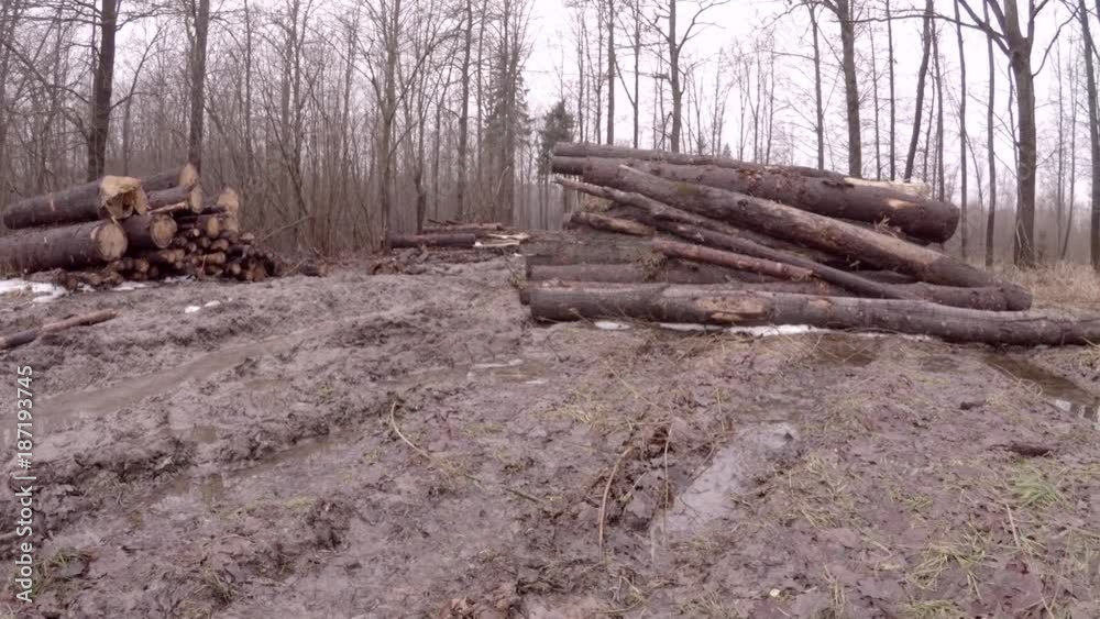 Ecological disaster. Deforestation and temporary storage of logs. Spring off-road. The road is destroyed by powerful machinery. Ecological disaster. Deforestation and temporary storage of logs. Spring off-road. The road is destroyed by powerful machinery.