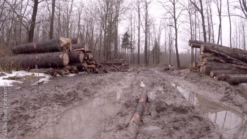 Ecological disaster. Deforestation and temporary storage of logs. Spring off-road. The road is destroyed by powerful machinery.