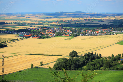 Scenic landscape near Warburg in Westphalia  North Rhine-Westphalia  Germany