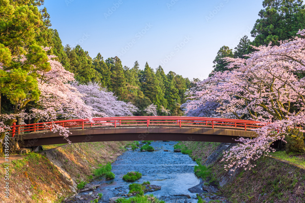 Naklejka premium Spring in Japan