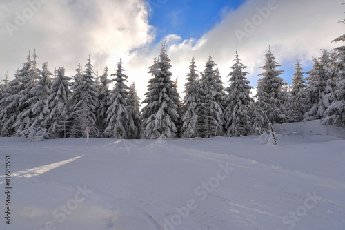 Winterwald Märchenwald tief verschneit © sonne_fleckl