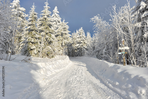 Winterwald Märchenwald tief verschneit