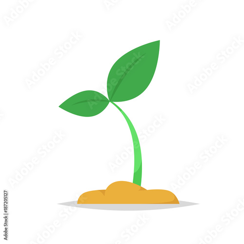 Growing plant vector isolated