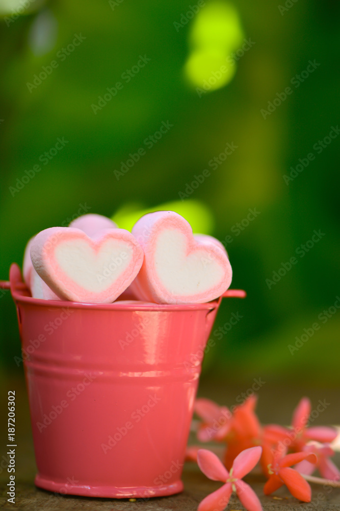 Bucket of pink and white heart shape marshmallows near with Ixora flowers on the wooden board with green background concept idea for Valentine’s day, love, romantic and relationship. Bucket of pink and white heart shape marshmallows near with Ixora flowers on the wooden board with green background concept idea for Valentine’s day, love, romantic and relationship.