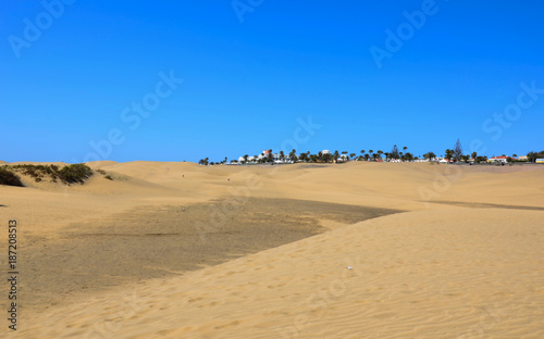 Coastline with sand dunes of Maspalomas. Gran Canaria, Canary Islands