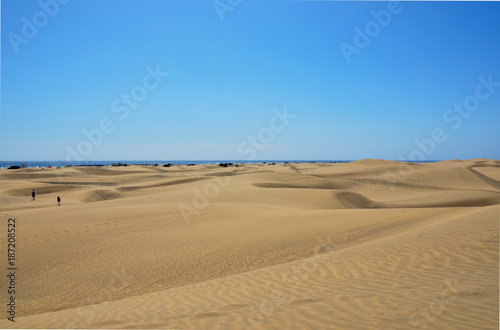Coastline with sand dunes of Maspalomas. Gran Canaria, Canary Islands