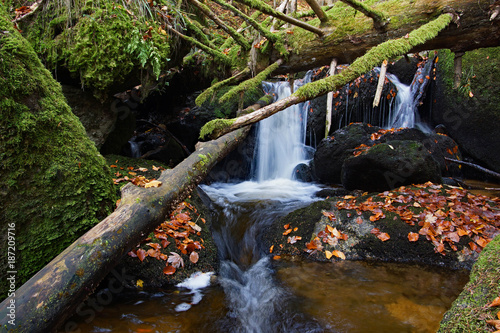 Ysperklamm im Herbst