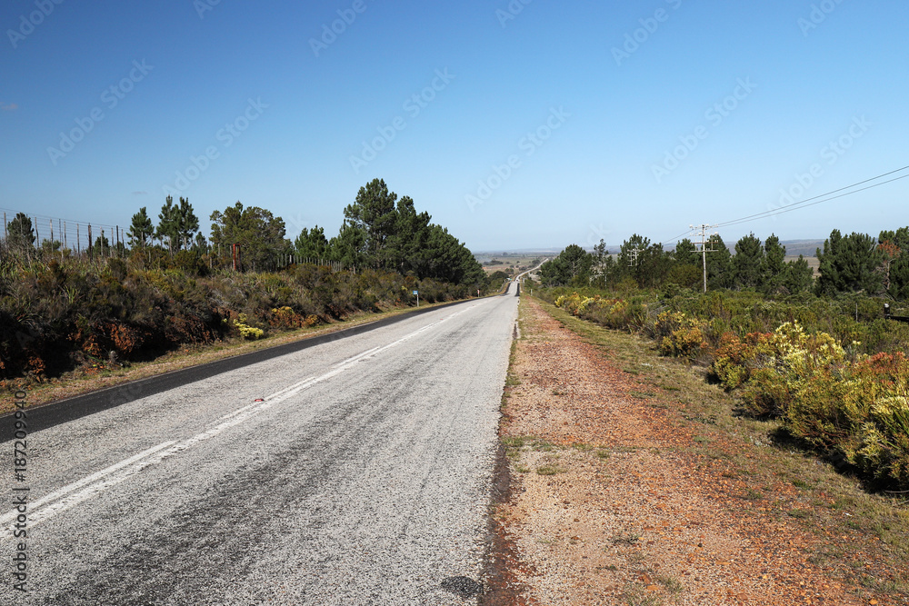 Fototapeta premium On the Road, Garden Route, South Africa
