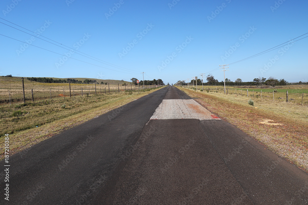 On the Road, Garden Route, South Africa