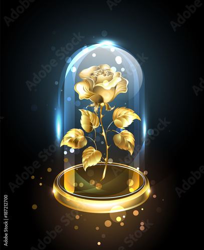 Gold rose under a glass dome